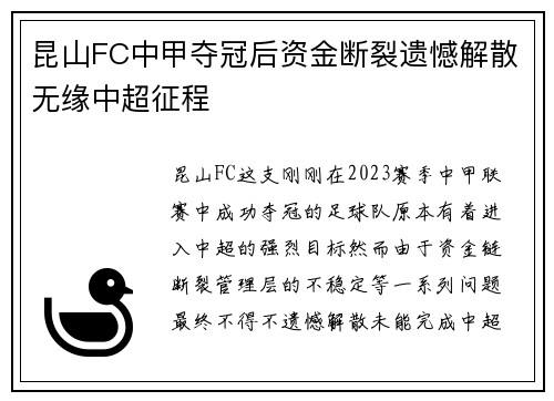 昆山FC中甲夺冠后资金断裂遗憾解散无缘中超征程